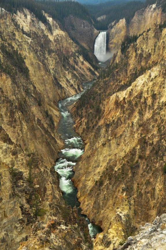 Uma verdadeira pintura, o Grand Canyon of Yellowstone, no Yellowstone National Park, no Wyoming, nos Estados Unidos